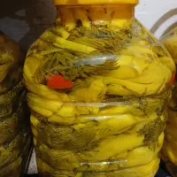 ترشی بیلهر