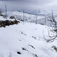 اجازه سپر کوب