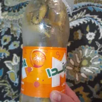 خیارشور تازه ومحلی|خوردنی و آشامیدنی|شیراز, مسلم|دیوار