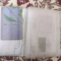 گمشدن وسایل