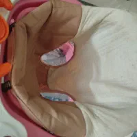 روروئک دلیجان|کالسکه و لوازم جانبی|تهران, علم و صنعت|دیوار