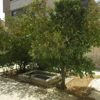 منزل تخریبی خیابان طیب|فروش زمین و ملک کلنگی|اصفهان, درب کوشک|دیوار