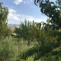 باغ-حشمت-آباد15000-متر