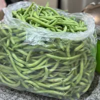 لوبیا سبز تازه