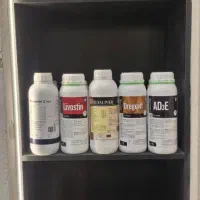 داروخانه دامپزشکی|لوازم جانبی حیوانات|قم, باسکول|دیوار