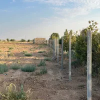 این فرصت رو از دست نده زمین در شهر تاکستان|فروش دفتر صنعتی، کشاورزی، تجاری|هشتگرد, طاووسیه|دیوار