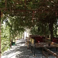 اجاره روزانه و هفتگی ( مزرعه باغ آهو) کهک