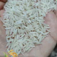 فروش عمده و خرده برنج طارم هاشمی