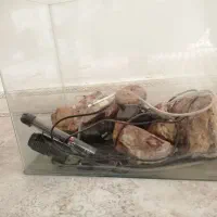 اکواریوم