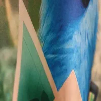 فرش نو ۷۰۰ شانه و پرده پانچ پلی استری نو|فرش|رشت, علی آباد|دیوار