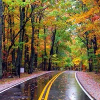 انجام امورات