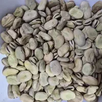 باقلای خشک درجه یک امسالی|خوردنی و آشامیدنی|بهشهر, |دیوار