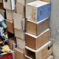 لونه طوطی برزیلی