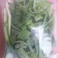 راننده  با خودرو سواری