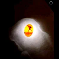 نگین عقیق یمانی طبیعی منقش و شهاب سنگ اصل