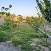باغ ۵۵۰متری با درخت ، آتشکده و باربیکیو|فروش زمین و ملک کلنگی|مشهد, درزآب|دیوار