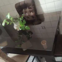 میز و صندلی غذاخوری|میز و صندلی غذاخوری|تهران, افسریه جنوبی|دیوار