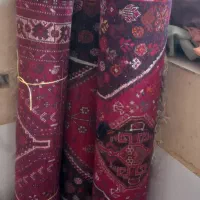 قالی دست باف|فرش|جهرم, |دیوار