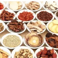گیاه دارویی به قیمت عمده