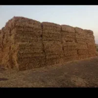 کاه کلش و توفاله باگاس