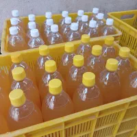آبغوره طبیعی