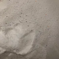 فروش فرمول پودر نانو تاچلس