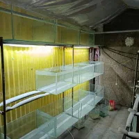 آکواریوم شیشه تانک .و وان 400لیتری