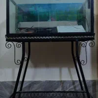 آکواریوم همراه پایه سالم و تمییز