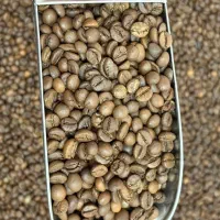 قهوه، دان سبز، برشته شده فقط عمده