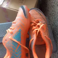 کفش|کیف، کفش، کمربند|نیشابور, گنبد سبز|دیوار