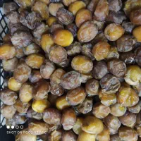 رطب و خارک برحی