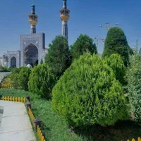کاروان مشهدمقدس فقط۴نفرکم حرکت فرداعصر|تور و چارتر|اهواز, کمپلو شمالی|دیوار