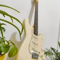 Stratocaster گیتار الکتریک ( فقط برای معاوضه )