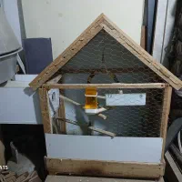 قفس تمام چوب