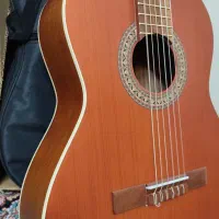 گیتار m6 پارسی|گیتار، بیس، امپلیفایر|گلستان (تهران), |دیوار