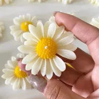 شمع های فانتزی و زیبا