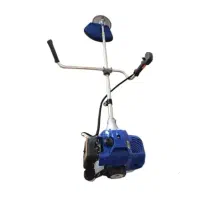 علفزن  *  علف زن|ابزارآلات|یزد, |دیوار