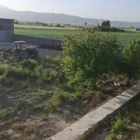 فروش-هفت-هکتار-زمین-کشاورزی-بارانی