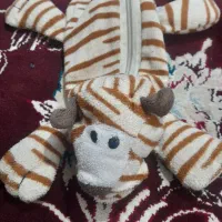 جامدادی ۶۵