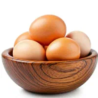 تخم مرغ نطفه دار برهما وایت اصل