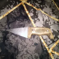 چاغو نوک سوزنی