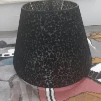 شید اباژور ایستاده
