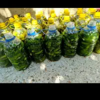 خیارشور خوشمزه