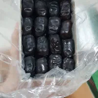 خرمای درجه یکم کیلویی و بسته ای