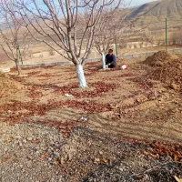 چال کود هرس فنس کشی سم پاشی|خدمات باغبانی و درختکاری|سنندج, |دیوار