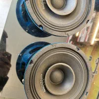 میدرنج ۶ونیم همرتک