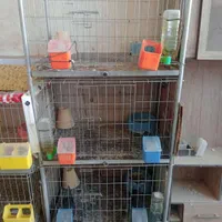 قفس جفتی حرفه ای بزرگ با سینی کودکش