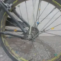 دوچرخه ارزان و خوب|دوچرخه، اسکیت، اسکوتر|شاهرود, |دیوار