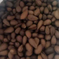 بادام شیرین درشت نرم گندم برشته تازه.ترشی انارشیمن