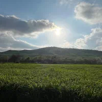 فروش قواره ای باغ و معاوضه